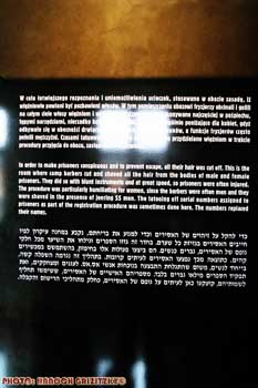 IMG_ (11663)